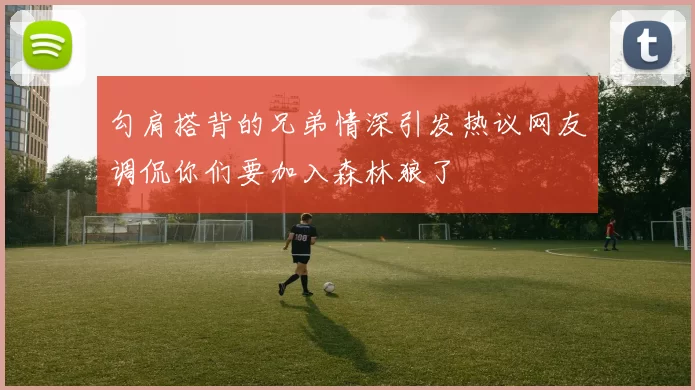 勾肩搭背的兄弟情深引发热议网友调侃你们要加入森林狼了
